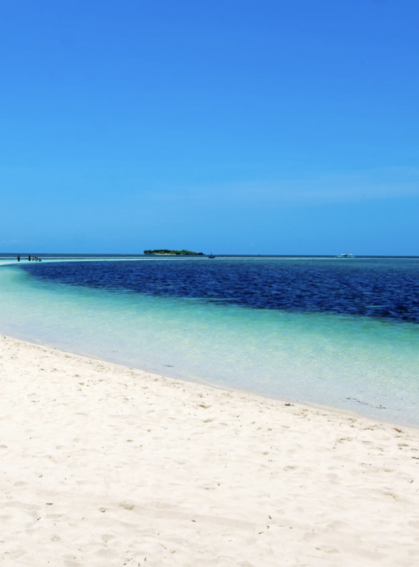 Scenic view of Virgin Island with text overlay for  Comparing the Best Tour Companies