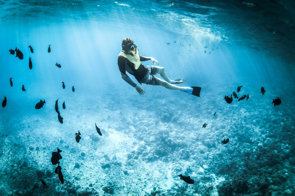 a man diving around Balicasag Island