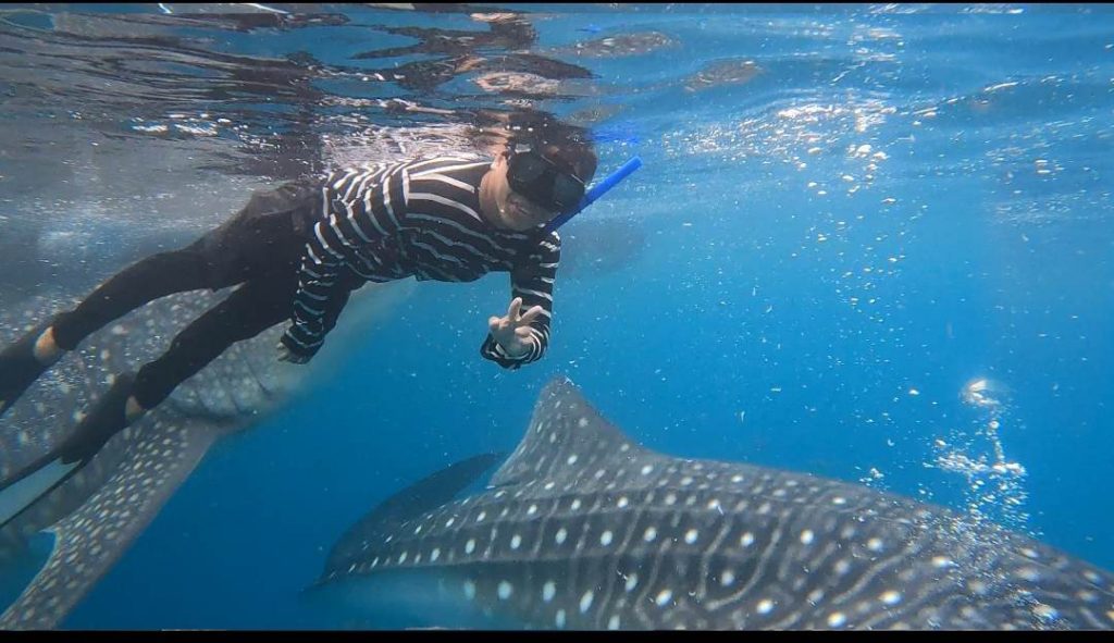 Photography & Snorkeling- Lila Whale Shark Snorkeling